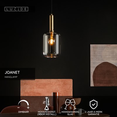 Lucide JOANET - Hanglamp - Ø 22 cm - 1xE27 - Fumé
